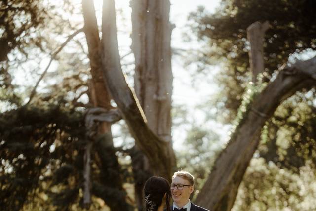 Alessio Bazzichi Wedding 4