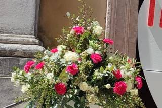 Fioreria Bagnara Marostica - 10