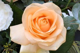 Bottega dei Fiori - 9