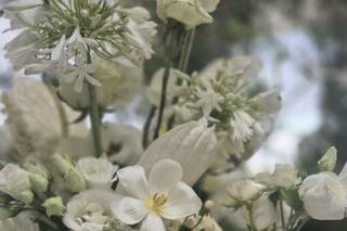Dolci Momenti - 8
