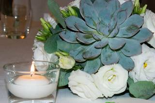 Tarantola Catering - 16