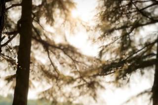 Vittoria Banqueting - 10