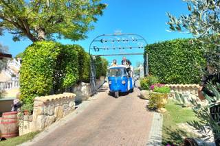 Ristorante Regina - 8