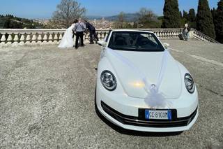 A spasso con Camilla - 6