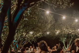 Anthony Terribile Wedding Photographer - 5