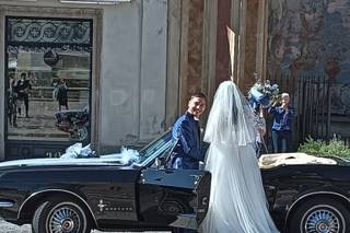Le Belle di Luca - 6
