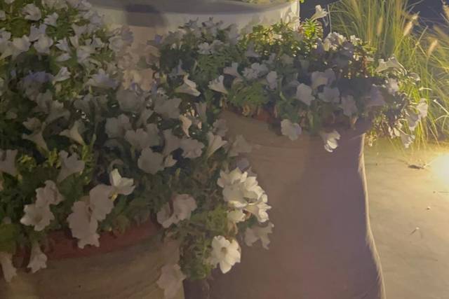 Graziano Catering 2