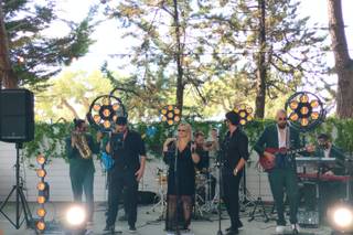 Oak Wedding Music Experience - 1