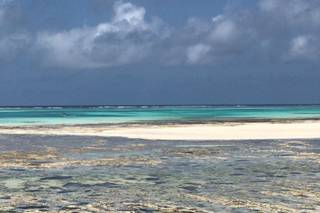 Astrid Sponghi Consulente per Viaggiare - 18