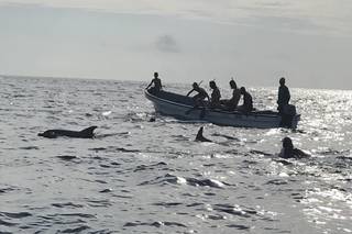 Astrid Sponghi Consulente per Viaggiare - 20