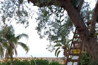 Tenuta di Roccadia - 25