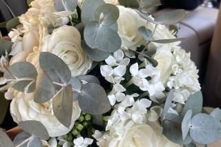 La Gardenia di Gerardo Palmieri - 6