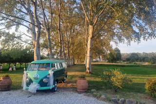 Wedding Bus - 6
