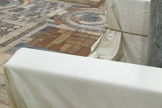 L'Orchidea di Spurio Massimiliano - 17