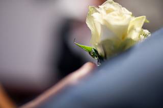 Le Creazioni di Lory - 7