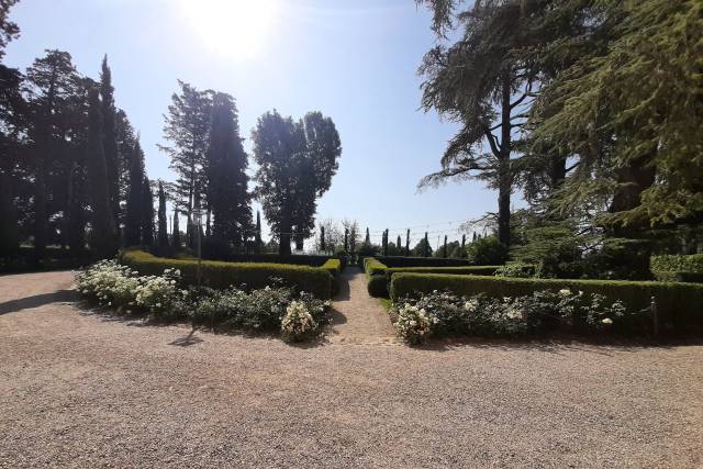 Fattoria il Palagio 2