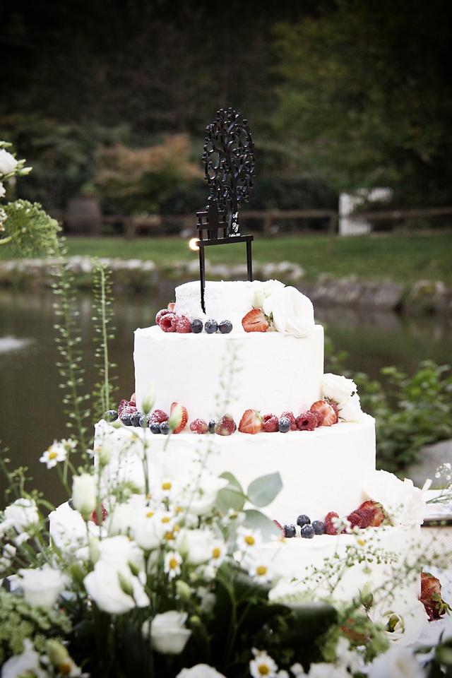 Imago Wedding Photographers - 1