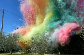 Paradise of fires - 8