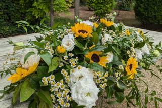 I Fiori di Maffy e Holly - 29