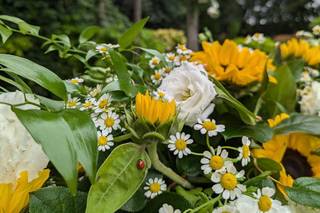 I Fiori di Maffy e Holly - 30