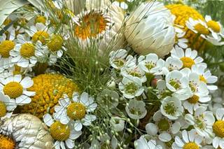 L'art des fleurs - 10