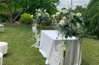 Il Tuo Pollice Verde - 5