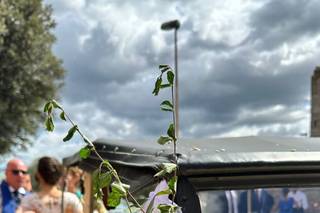 The Flower di Scanu Veronica - 15