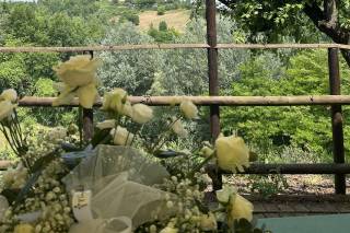 Il Tuo Pollice Verde - 6