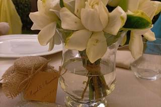 D'Arrigo Fiori - 9