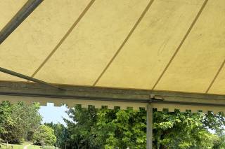 Il Tuo Pollice Verde - 7