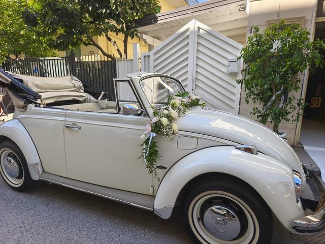 Bulli Eventi - 3