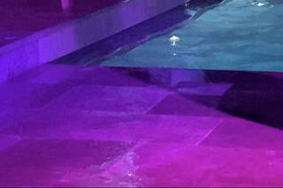 Tasten'Sax Luxury Wedding - 11