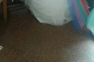 SCPhoto - 5