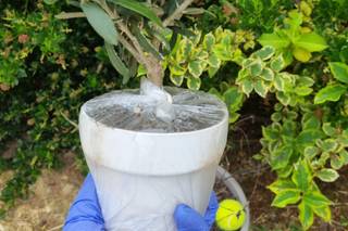 Home & Garden - 9
