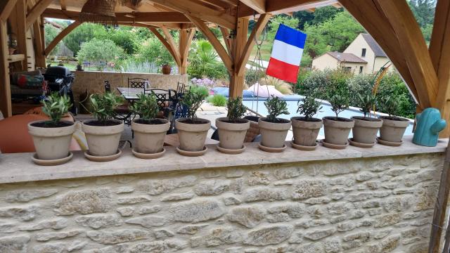 Home & Garden - 3
