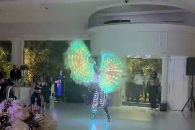 Roberta Pennisi Show Dance 3