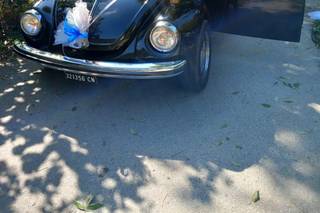Classic Cars - 15