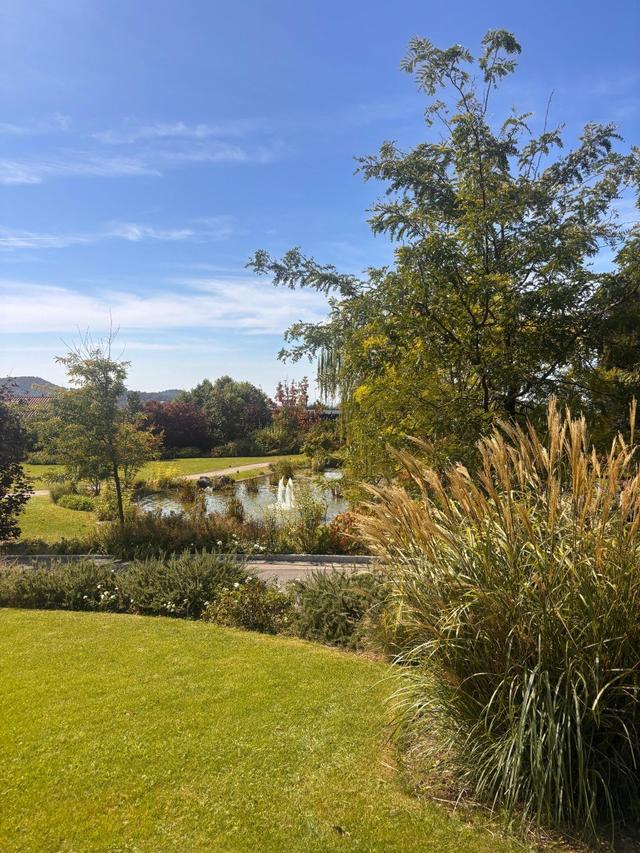 Piajo Wedding & Events - 2