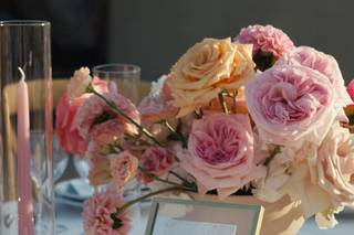 Fiore e Più - Di Aramu M&A - 12