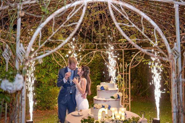 Lady Cake di Paola Mattonai 5
