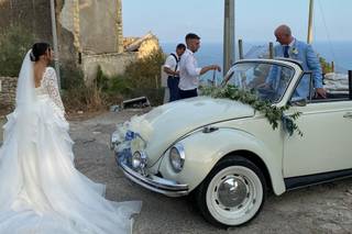 Auto e Fiori Costa - 5