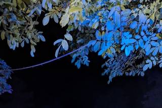 Country House Pineta - 5