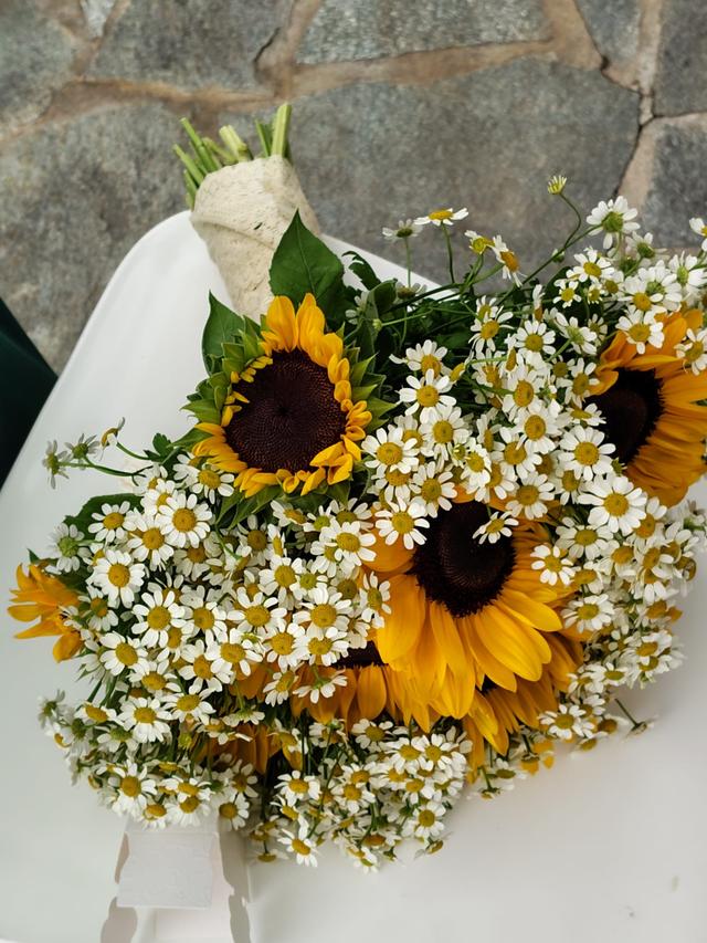 Carbognin Fiori - 2