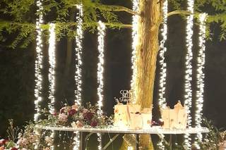 Romano Carnevali Eventi - 16