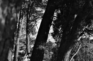 Prospettive Fotografi - 10