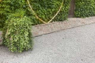 Romano Carnevali Eventi - 17