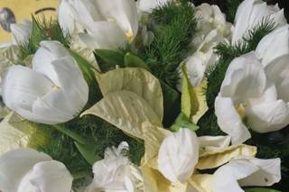 Irele Events - 7