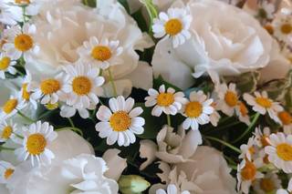 La Gardenia di Monya Spadavecchia - 7