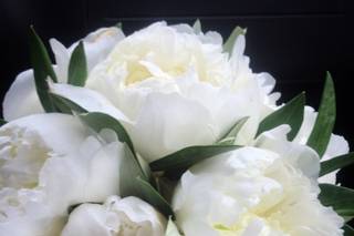 La Gardenia di Monya Spadavecchia - 8