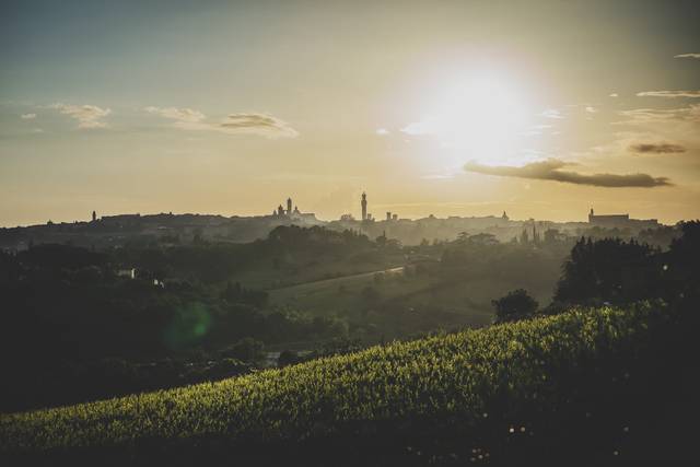Michele Belloni Weddings 5